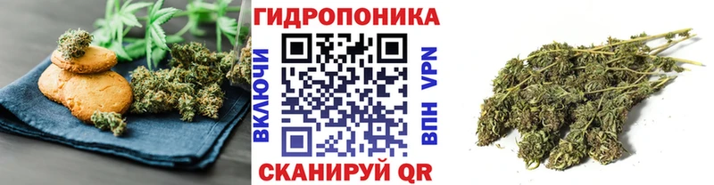 KRAKEN как зайти  Прохладный  Еда ТГК конопля 