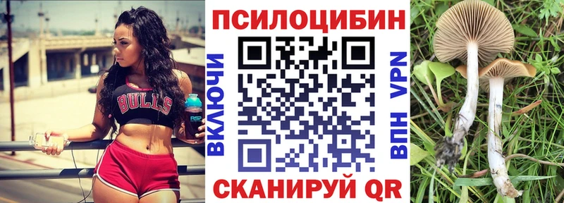 Псилоцибиновые грибы мицелий  ОМГ ОМГ tor  Прохладный 